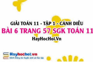 Giải bài 6 trang 57 Toán 11 tập 1 SGK Cánh Diều